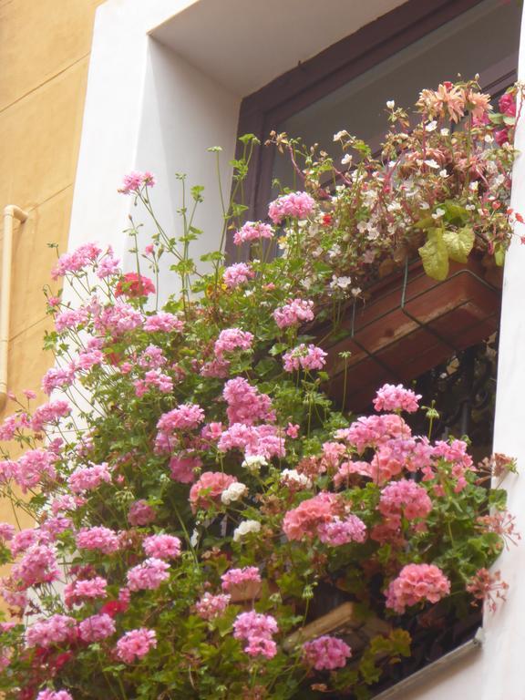 Hostal Huespedes Toledo Madryt Zewnętrze zdjęcie